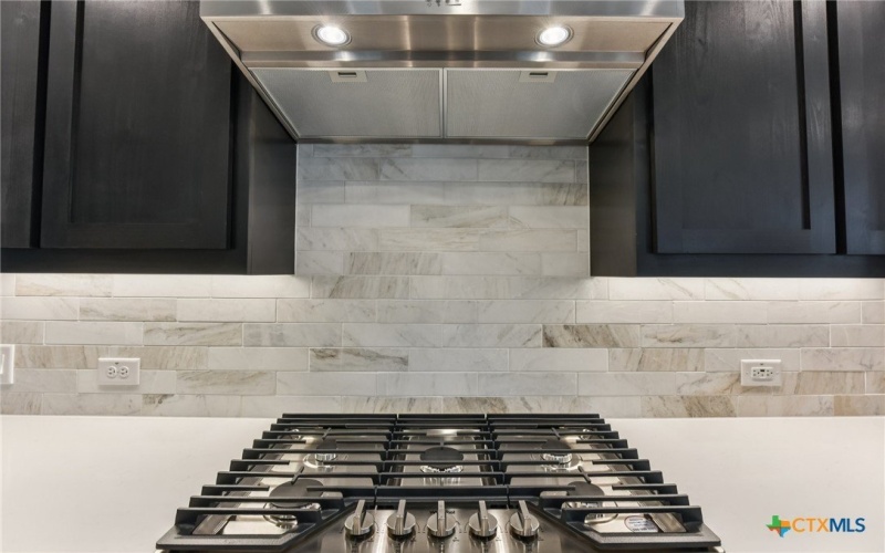 104 Olive Blossom Trail, San Marcos, TX 78666, 2 Habitaciones Habitaciones , ,2 BañosBaños,Residential,En Venta,104 Olive Blossom Trail,0,579034