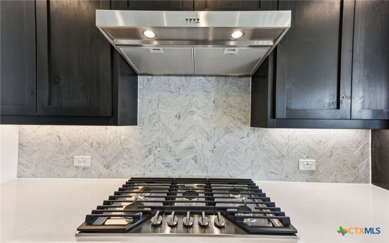 203 Olive Blossom Trail, San Marcos, TX 78666, 4 Habitaciones Habitaciones , ,3 BañosBaños,Residential,En Venta,203 Olive Blossom Trail,0,579196