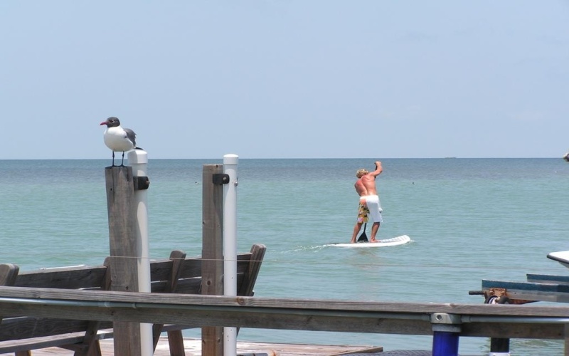 5100 Laguna Blvd. #4, South Padre Island, TX 78597, 3 Bedrooms Bedrooms, ,2 BathroomsBathrooms,Residential,For Sale,5100 Laguna Blvd.,103109