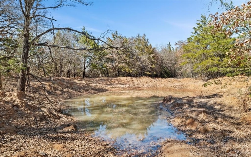 298 Greanead Road, Forestburg, TX 76239, 4 Bedrooms Bedrooms, ,2 BathroomsBathrooms,Residential,For Sale,298 Greanead Road,20858683