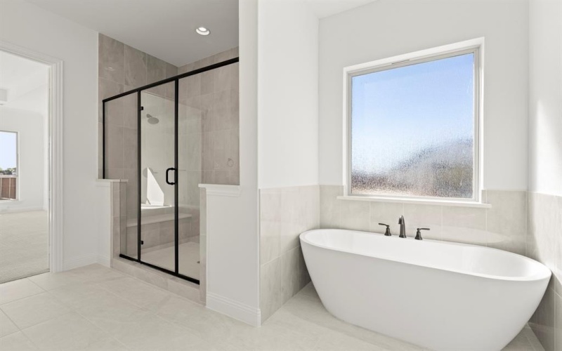 2203 Draco Drive, Rockwall, TX 75087, 5 Habitaciones Habitaciones , ,6 BañosBaños,Residential,En Venta,2203 Draco Drive,0,20932825