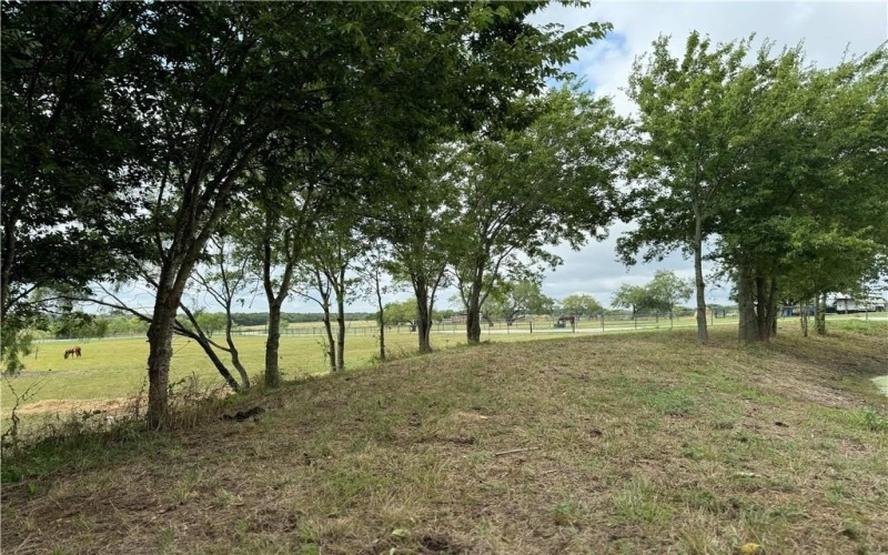 1365 Monthie Road, Waco, TX 76705, 1 Bedroom Bedrooms, ,1 BathroomBathrooms,Residential,For Sale,1365 Monthie Road,228080