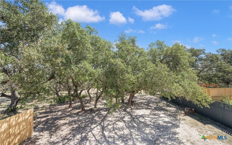 1156 Timberlane Drive, Canyon Lake, TX 78133, 3 Habitaciones Habitaciones , ,2 BañosBaños,Residential,En Venta,1156 Timberlane Drive,570901