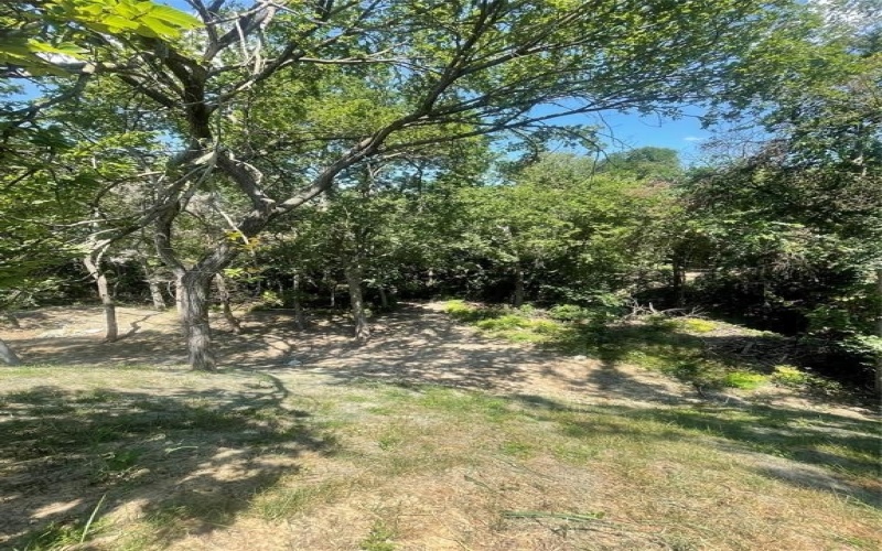842 White Oak Drive, Woodway, TX 76712, 3 Bedrooms Bedrooms, ,2 BathroomsBathrooms,Residential,For Sale,842 White Oak Drive,0,20934051