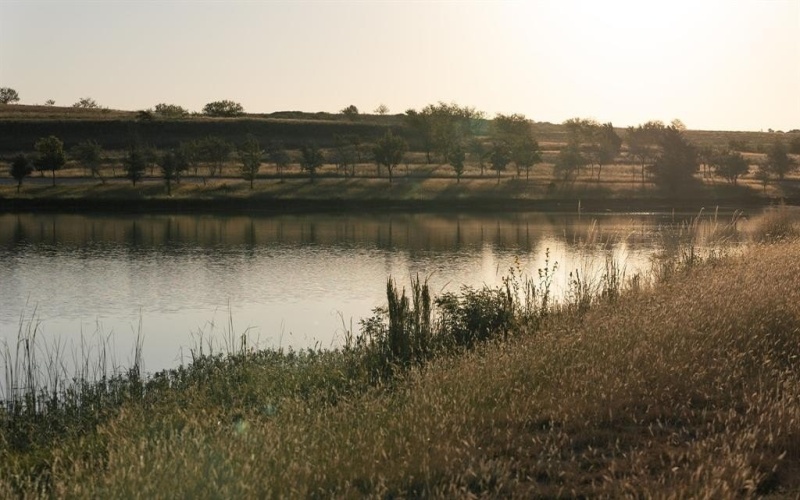 233 Pintail Lane, Rhome, TX 76078, 4 Habitaciones Habitaciones , ,3 BañosBaños,Residential,En Venta,233 Pintail Lane,20925823