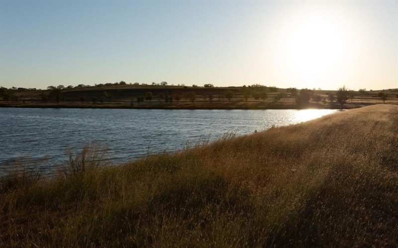 233 Pintail Lane, Rhome, TX 76078, 4 Habitaciones Habitaciones , ,3 BañosBaños,Residential,En Venta,233 Pintail Lane,20925823
