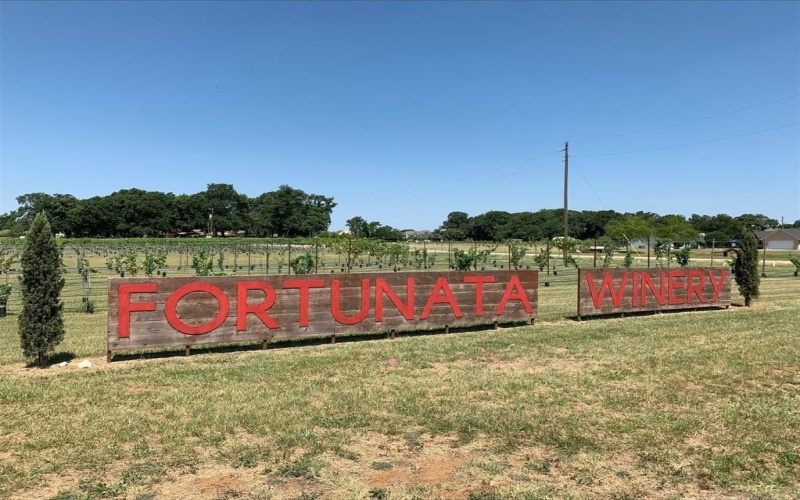 14061 Kempt Drive, Pilot Point, TX 76258, 4 Habitaciones Habitaciones , ,3 BañosBaños,Residential,En Venta,14061 Kempt Drive,20935039