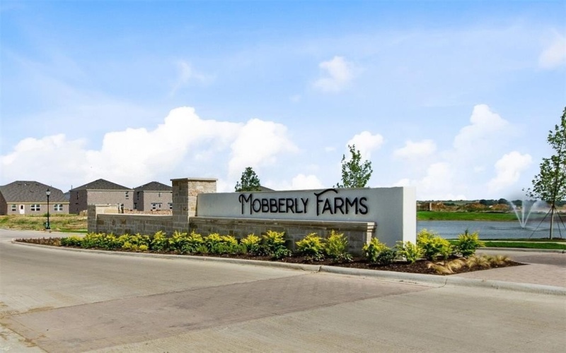 14061 Kempt Drive, Pilot Point, TX 76258, 4 Habitaciones Habitaciones , ,3 BañosBaños,Residential,En Venta,14061 Kempt Drive,20935039