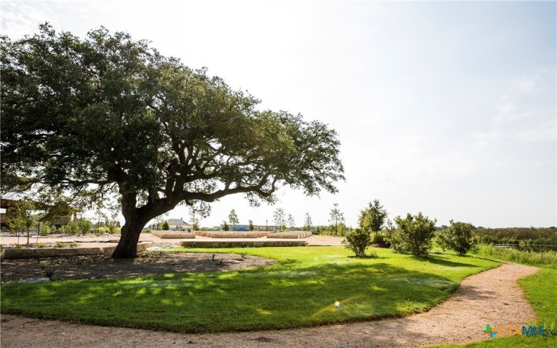 12236 Latticework, Schertz, TX 78154, 4 Bedrooms Bedrooms, ,3 BathroomsBathrooms,Residential,For Sale,12236 Latticework,0,555984