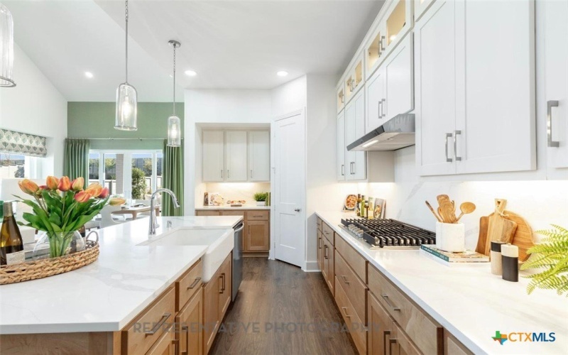 204 Basket Flower Loop, Kyle, TX 78640, 4 Habitaciones Habitaciones , ,3 BañosBaños,Residential,En Venta,204 Basket Flower Loop,578808