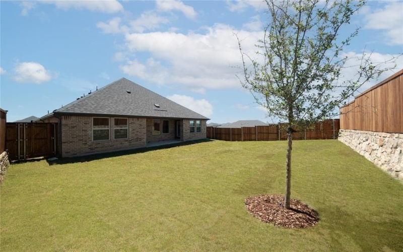 2413 Swinley Forest Street, Celina, TX 75009, 4 Habitaciones Habitaciones , ,2 BañosBaños,Residential,En Venta,2413 Swinley Forest Street,20787287
