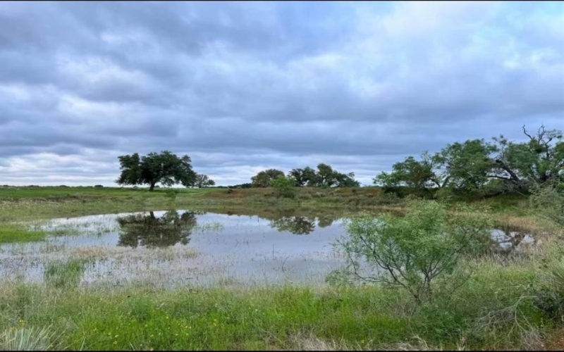 876 Fm-585, Bangs, TX 76823, 3 Bedrooms Bedrooms, ,2 BathroomsBathrooms,Residential,For Sale,876 Fm-585,20749248