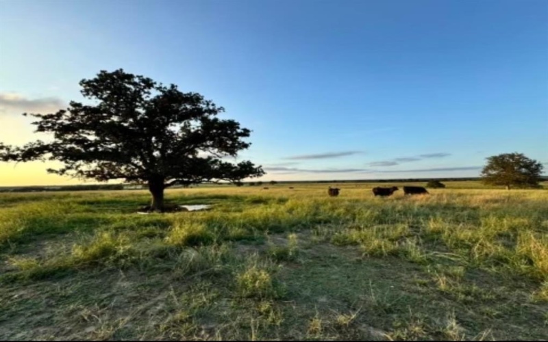 876 Fm-585, Bangs, TX 76823, 3 Bedrooms Bedrooms, ,2 BathroomsBathrooms,Residential,For Sale,876 Fm-585,20749248