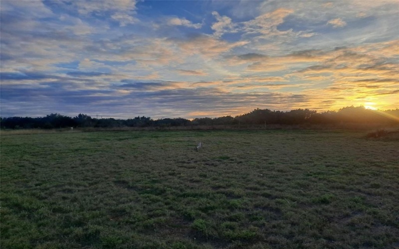 132 PINE SPRINGS Cove, Tuscola, TX 79562, 4 Bedrooms Bedrooms, ,3 BathroomsBathrooms,Residential,For Sale,132 PINE SPRINGS Cove,20939862