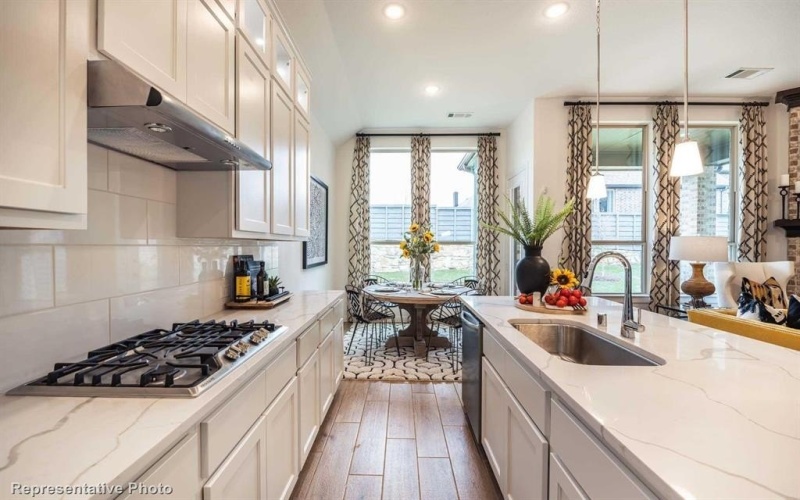 4633 Hanging Arches Avenue, Midlothian, TX 76065, 4 Bedrooms Bedrooms, ,3 BathroomsBathrooms,Residential,For Sale,4633 Hanging Arches Avenue,20940280