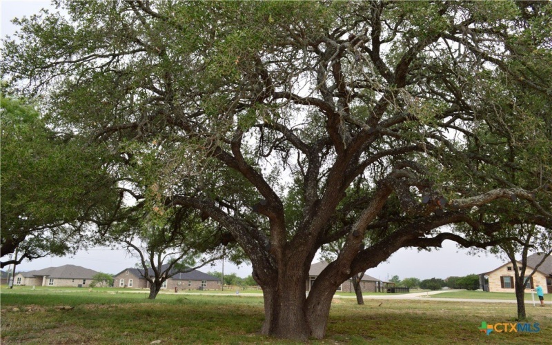 425 County Road 3152, Kempner, TX 76539, 4 Bedrooms Bedrooms, ,2 BathroomsBathrooms,Residential,For Sale,425 County Road 3152,580279