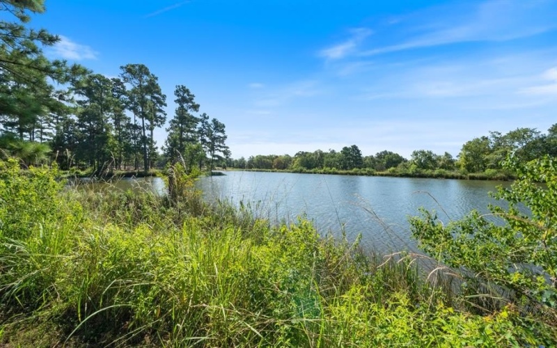 4776 FM 17, Grand Saline, TX 75140, ,Commercial Sale,En Venta,4776 FM 17,20736322