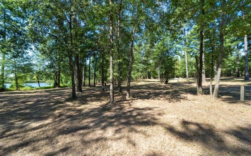 4776 FM 17, Grand Saline, TX 75140, ,Commercial Sale,En Venta,4776 FM 17,20736322