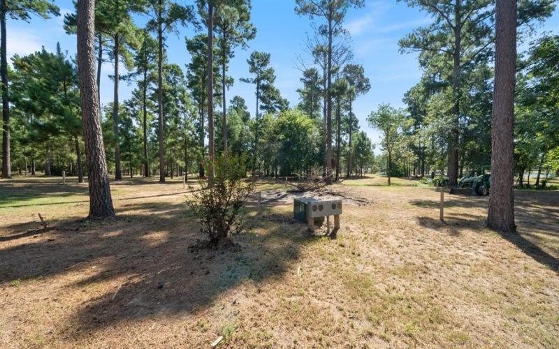 4776 FM 17, Grand Saline, TX 75140, ,Commercial Sale,En Venta,4776 FM 17,20736322