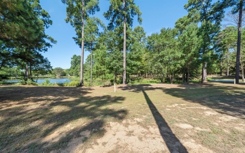 4776 FM 17, Grand Saline, TX 75140, ,Commercial Sale,En Venta,4776 FM 17,20736322
