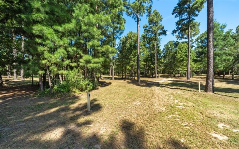 4776 FM 17, Grand Saline, TX 75140, ,Commercial Sale,En Venta,4776 FM 17,20736322