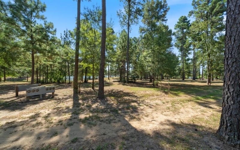 4776 FM 17, Grand Saline, TX 75140, ,Commercial Sale,En Venta,4776 FM 17,20736322