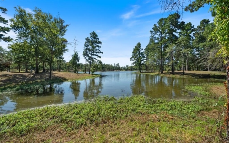 4776 FM 17, Grand Saline, TX 75140, ,Commercial Sale,En Venta,4776 FM 17,20736322