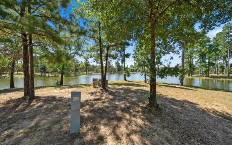 4776 FM 17, Grand Saline, TX 75140, ,Commercial Sale,En Venta,4776 FM 17,20736322