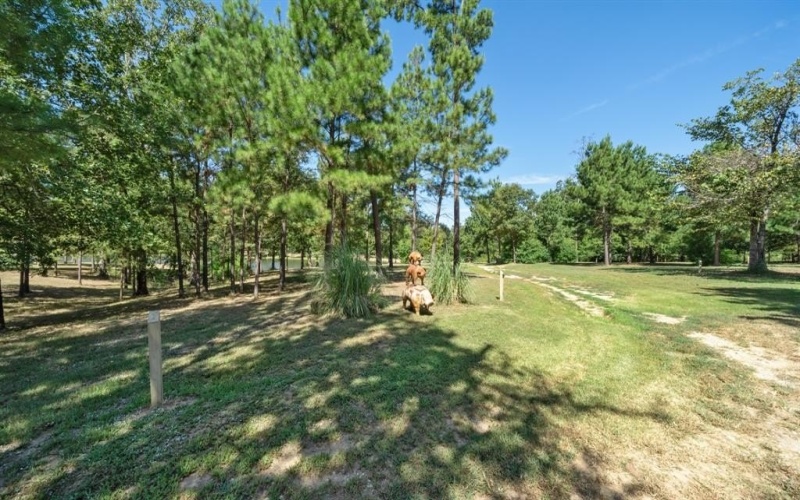 4776 FM 17, Grand Saline, TX 75140, ,Commercial Sale,En Venta,4776 FM 17,20736322