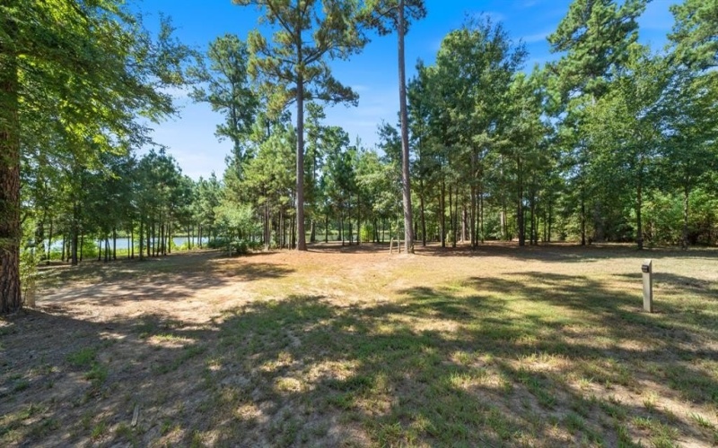 4776 FM 17, Grand Saline, TX 75140, ,Commercial Sale,En Venta,4776 FM 17,20736322
