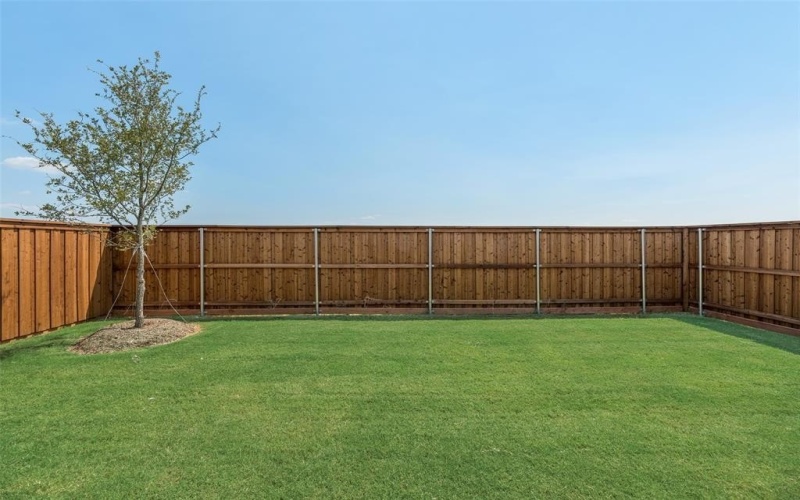 141 Ashbrook Street, Little Elm, TX 75068, 4 Bedrooms Bedrooms, ,2 BathroomsBathrooms,Residential,For Sale,141 Ashbrook Street,0,20945132