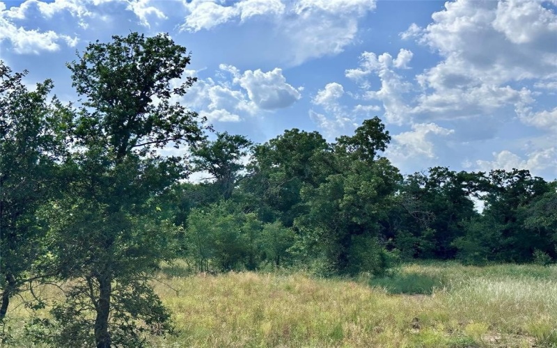 180 Cant Miss, Gordon, TX 76453, 3 Bedrooms Bedrooms, ,2 BathroomsBathrooms,Residential,For Sale,180 Cant Miss,20947989