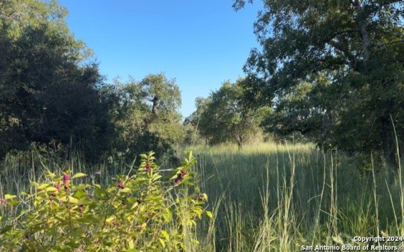 910 Swallows Ln, Seguin, TX 78155, 3 Bedrooms Bedrooms, ,2 BathroomsBathrooms,Residential,For Sale,910 Swallows Ln,1814089