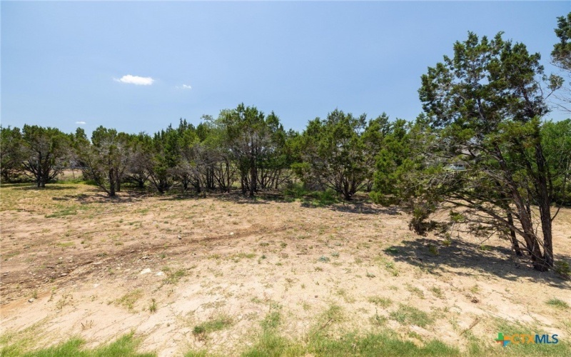 505 Wonderstruck, Liberty Hill, TX 78642, 4 Bedrooms Bedrooms, ,5 BathroomsBathrooms,Residential,For Sale,505 Wonderstruck,581609