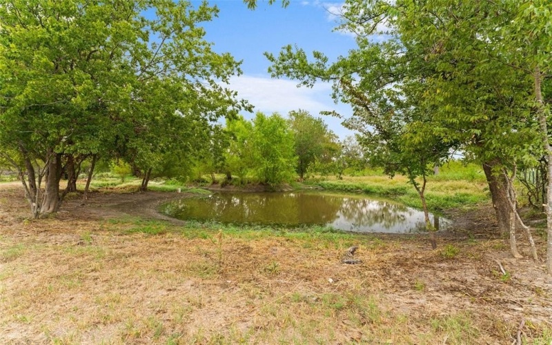 1085 Country Lane, Oak Ridge, TX 75142, 4 Bedrooms Bedrooms, ,2 BathroomsBathrooms,Residential,For Sale,1085 Country Lane,20955892