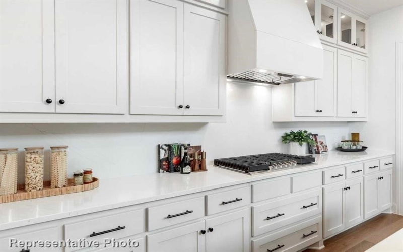4229 Silver Spur Court, Aubrey, TX 76227, 4 Habitaciones Habitaciones , ,5 BañosBaños,Residential,En Venta,4229 Silver Spur Court,0,20962155