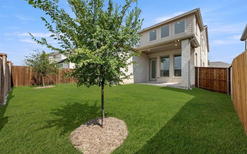817 Meadow Spring Lane, Anna, TX 75409, 4 Habitaciones Habitaciones , ,3 BañosBaños,Residential,En Venta,817 Meadow Spring Lane,0,20963764