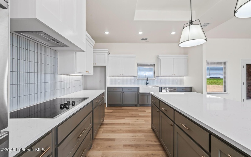 15706 N Farm To Market Rd 179, Shallowater, TX 79363, 3 Habitaciones Habitaciones , ,2 BañosBaños,Residential,En Venta,15706 N Farm To Market Rd 179,202556089