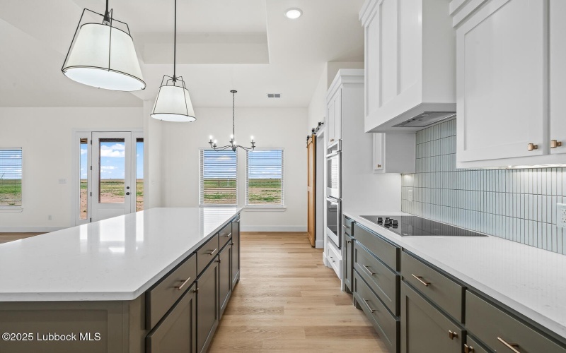 15706 N Farm To Market Rd 179, Shallowater, TX 79363, 3 Habitaciones Habitaciones , ,2 BañosBaños,Residential,En Venta,15706 N Farm To Market Rd 179,202556089