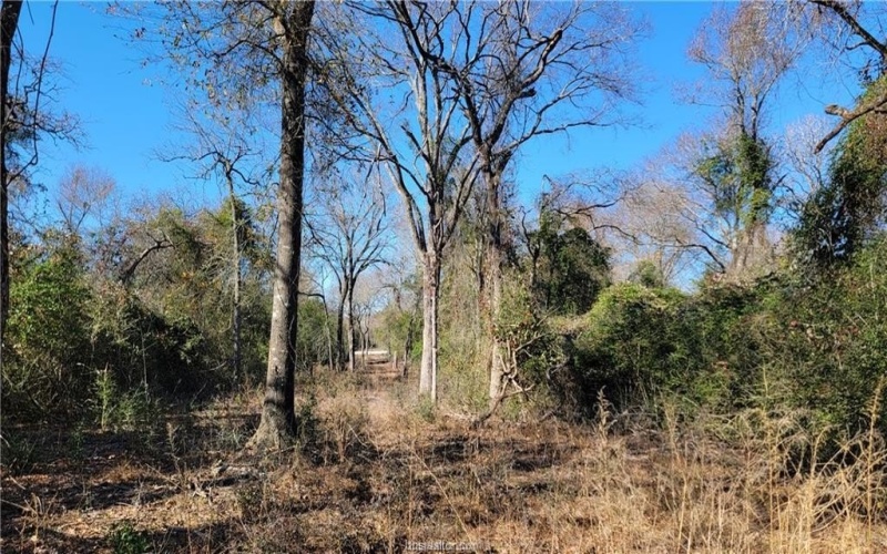 Lot 8 High Meadow Trail, Franklin, TX 77856, 4 Bedrooms Bedrooms, ,3 BathroomsBathrooms,Residential,For Sale,Lot 8 High Meadow Trail,25002412