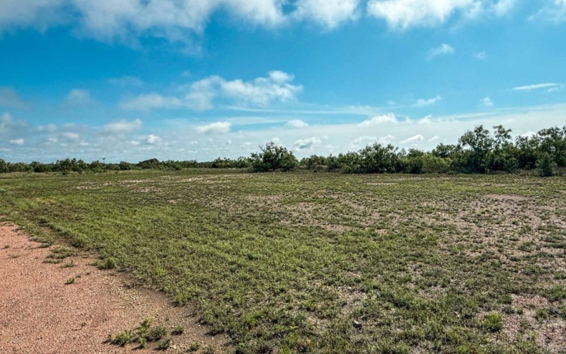 1432 FM 1929, Voss, TX 76888, ,Otro,En Venta,1432 FM 1929,127838