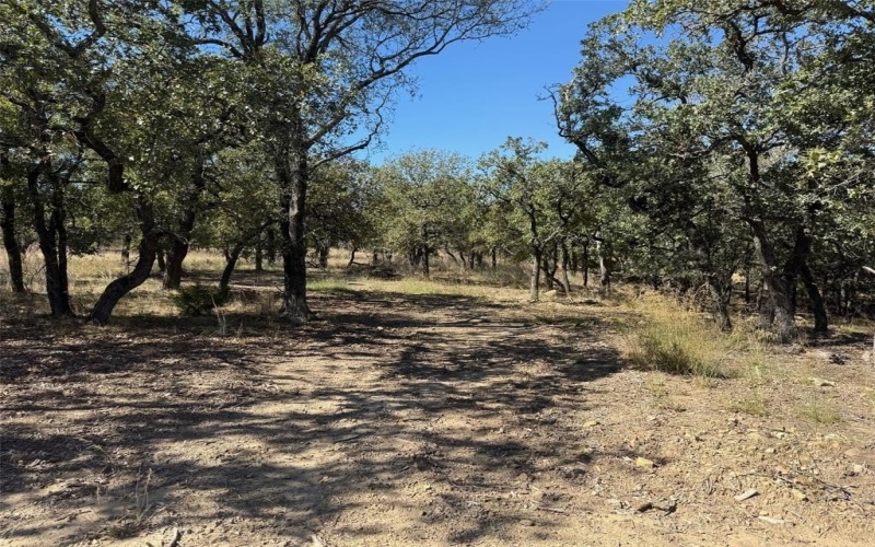 114 Ridgeline Drive, Chico, TX 76431, 4 Bedrooms Bedrooms, ,3 BathroomsBathrooms,Residential,For Sale,114 Ridgeline Drive,0,20965281