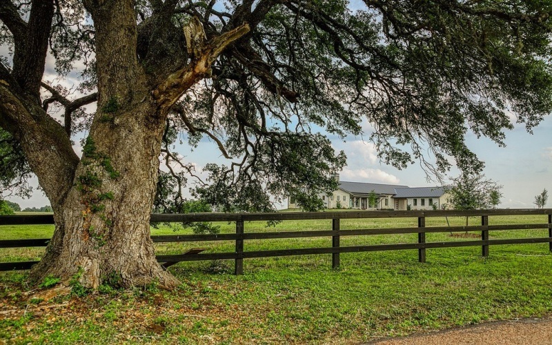 4961 Hartfield Road, Round Top, TX 78954, 4 Bedrooms Bedrooms, ,5 BathroomsBathrooms,Farm,For Sale,4961 Hartfield Road,152196