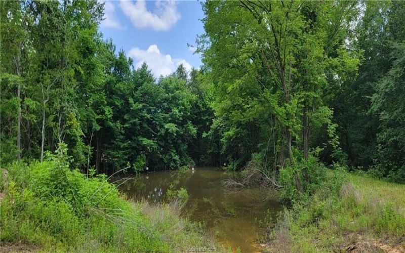 5135 Old Boone Prairie Road, Franklin, TX 77856, 3 Bedrooms Bedrooms, ,3 BathroomsBathrooms,Residential,For Sale,5135 Old Boone Prairie Road,25006997