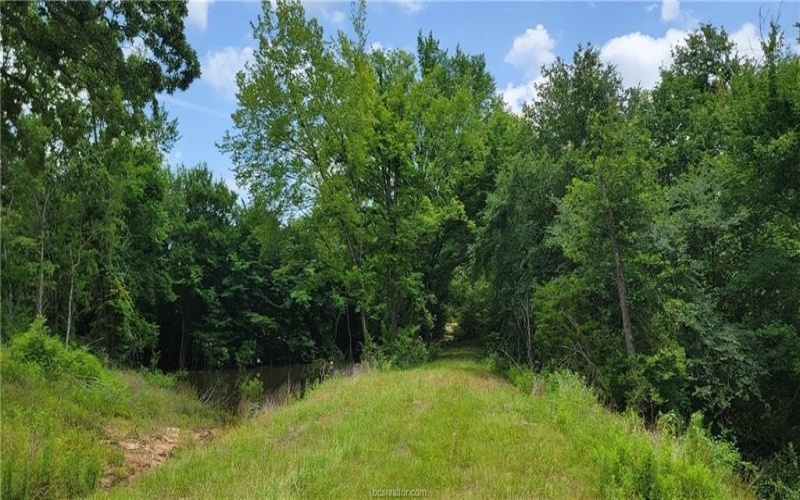 5135 Old Boone Prairie Road, Franklin, TX 77856, 3 Bedrooms Bedrooms, ,3 BathroomsBathrooms,Residential,For Sale,5135 Old Boone Prairie Road,25006997