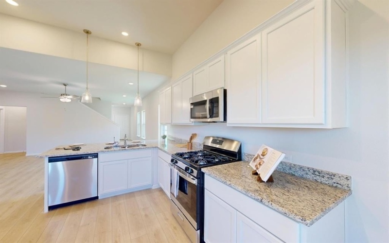 14159 Marion Downs Trail, Pilot Point, TX 76258, 4 Habitaciones Habitaciones , ,2 BañosBaños,Residential,En Venta,14159 Marion Downs Trail,0,20973658