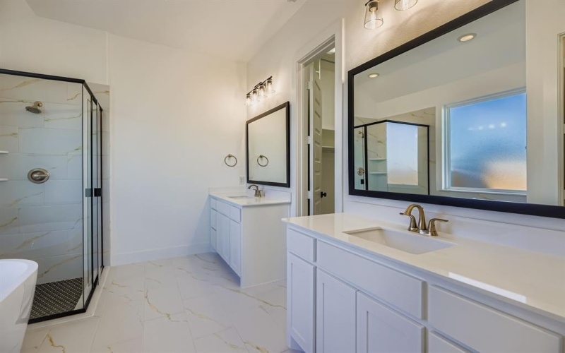 2109 Ten Mile Creek Court, Celina, TX 75009, 4 Habitaciones Habitaciones , ,5 BañosBaños,Residential,En Venta,2109 Ten Mile Creek Court,0,20974404