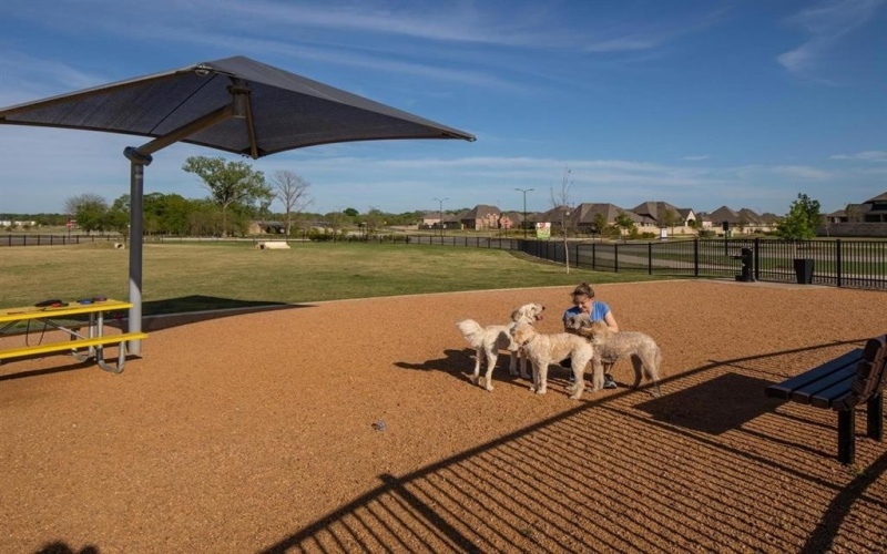 320 Bee Balm Road, McKinney, TX 75071, 4 Habitaciones Habitaciones , ,5 BañosBaños,Residential,En Venta,320 Bee Balm Road,0,20975459