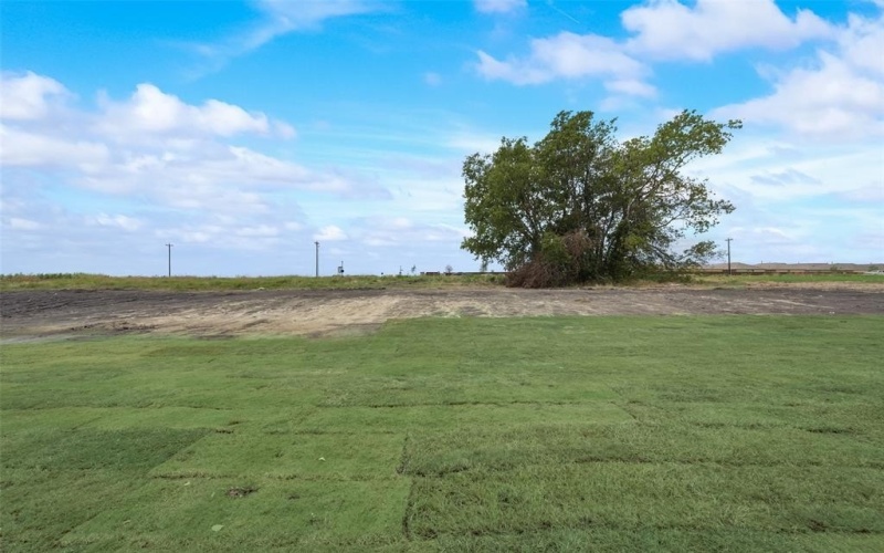 1117 Barrix Drive, Forney, TX 75126, 4 Habitaciones Habitaciones , ,3 BañosBaños,Residential,En Venta,1117 Barrix Drive,20976646