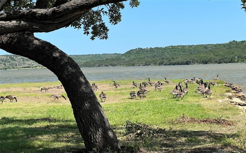 115 PR 3005, Possum Kingdom Lake, TX 76450, ,Residential,For Sale,115 PR 3005,20969794